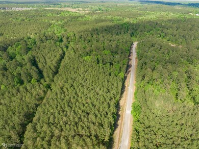 113 Buffalo Rd, Benton, LA 71006 - photo 5