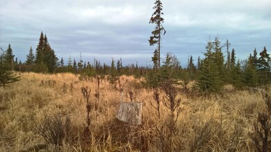 240 acre (1)