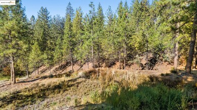 11210 Forest Park Dr, Columbia, CA 95310 - photo 5