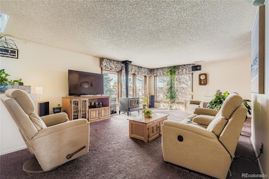 6728 Depew St, Arvada, CO 80003 - photo 3