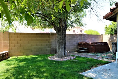 back yard 1