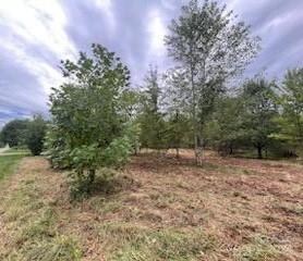 325 Grandview Rd, Clover, SC 29710 - photo 3