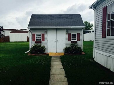 Shed