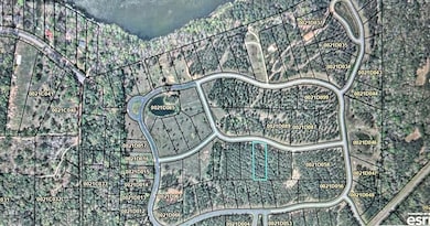 Lots Lott 19 & 20, Bainbridge, GA 39817 - photo 6