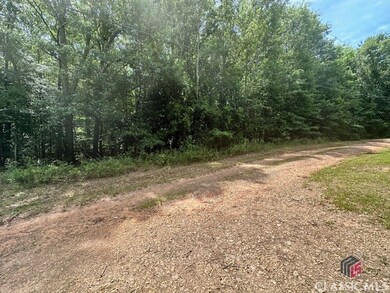 0 Roosevelt Cir unit 1017485, Bowman, GA 30635 - photo 3