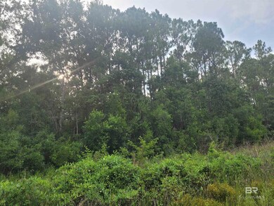 0 Bellingrath Rd unit 374430, Theodore, AL 36582 - photo 3