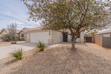 Landscaped front yard
