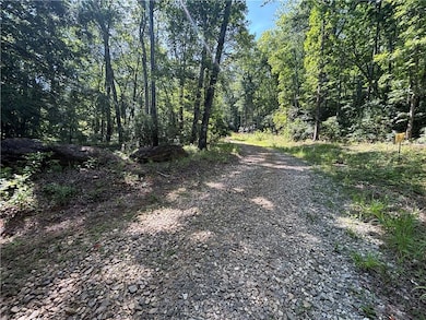 View of road featuring a forest view