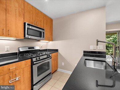 1134 Cove Rd unit 301, Annapolis, MD 21403 - photo 6