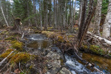 12D, 12I Mildred Grace Rd, Islesboro, ME 04848 - photo 6