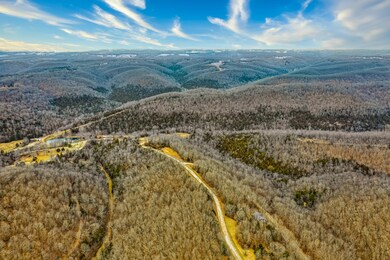 Table Rock Lake Acreage