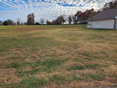 12235 Ledbetter Dr, Neosho, MO 64850 - photo 7