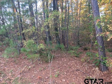 1657 Pineview Ln, Hideaway, TX 75771 - photo 2