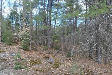 00 Lewis Hill Rd, Newfield, ME 04095 - photo 3