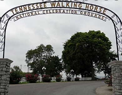 1607 N Main St unit 11, Shelbyville, TN 37160 - photo 6