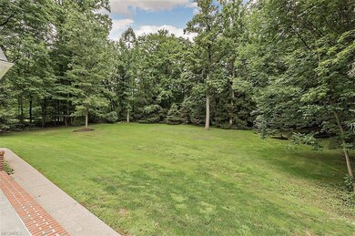 View of Back Yard with lots of trees and privacy.