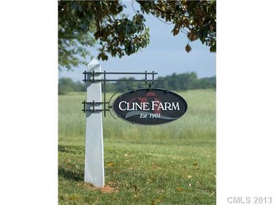 Lot 20 Cline Farm Rd, Lincolnton, NC 28092 - photo 4