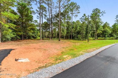 Lot 12 Pine Ridge Ln, Lucedale, MS 39452 - photo 5