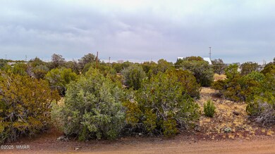 dji_fly_20250326_154958_0548_17430873255