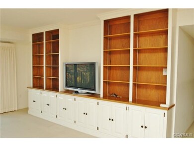 Built-in Shelving in the Great Room, The TV Convey