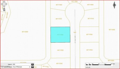 GIS Map of Lot