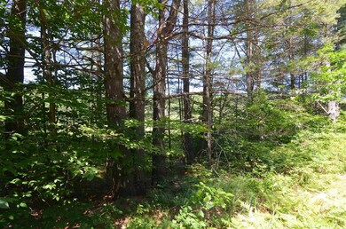 129 Newbury Rd, Bradford, NH 03221 - photo 6