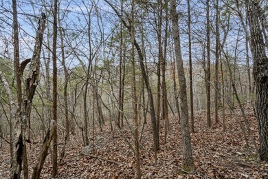 Lot 10 Greenbrier Dr, Kimberling City, MO 65686 - photo 6