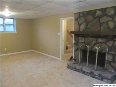 Downstairs Recreation Room with wood burning fire 