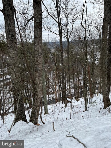 0 Lee Rd - Lot 101 Sec 9 unit VASH2002206, Basye, VA 22810 - photo 2