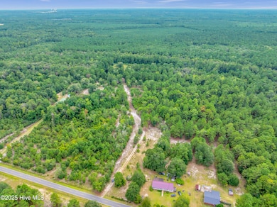 6715 Canetuck Rd, Currie, NC 28435 - photo 3