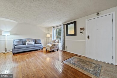 6100 Mantle Rd, Burke, VA 22015 - photo 3