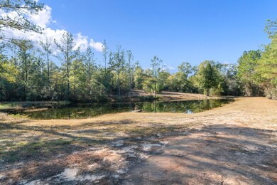 pond