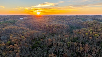 5785 Evergreen Loop, Leslie, MO 63056 - photo 7