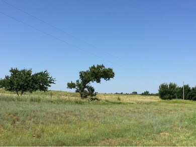 Trees and nice pasture