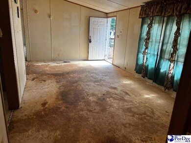 433 E 7 Mile Rd, Pamplico, SC 29583 - photo 7