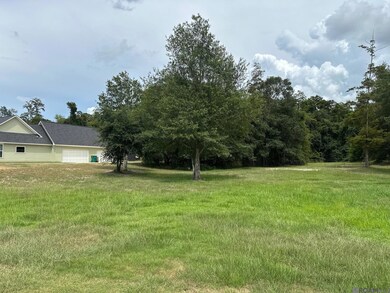 15850 Cypress Point Ln, French Settlement, LA 70733 - photo 4