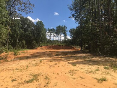 Back to driveway