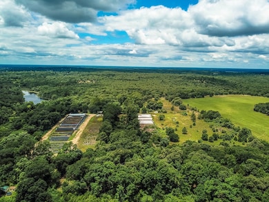 6184 County Road 41515, Athens, TX 75751 - photo 6