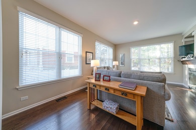 439 Pine Lake Cir unit 1, Vernon Hills, IL 60061 - photo 5