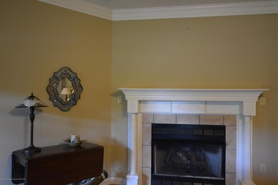 Gas Fireplace