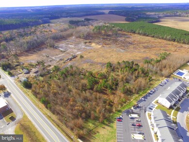 21566 Vaughn Rd, Georgetown, DE 19947 - photo 7