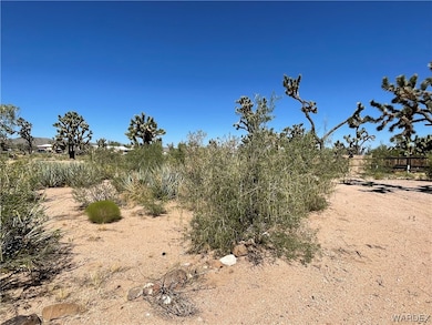 26416 N Apple Dr, Meadview, AZ 86444 - photo 5