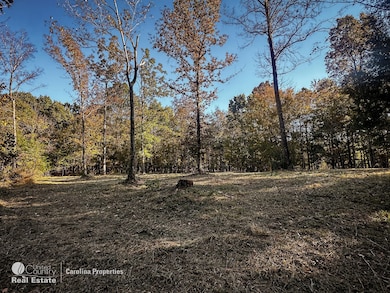 00 Mountain Rd, Cleveland, NC 27013 - photo 7