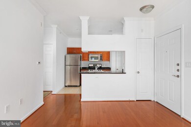 12909 Centre Park Cir unit 405, Oak Hill, VA 20171 - photo 5