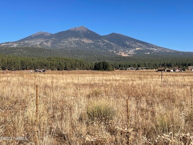 IMG_9547