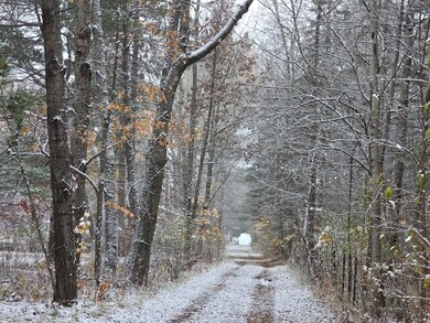 Lot 18 Kingsley Ln, Grayling Township, MI 49738 - photo 6