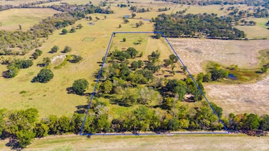 Tbd Linda Ln, Huntsville, TX 77320 - photo 7