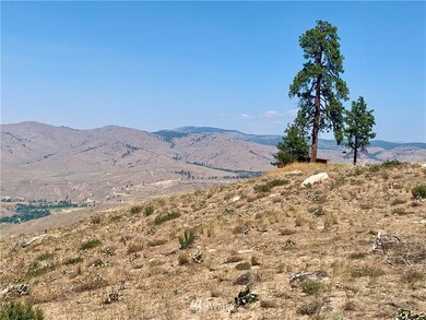 0 Sky Ridge Rd unit 1802804, Methow, WA 98834 - photo 3