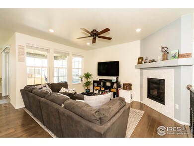 14165 Grape St, Thornton, CO 80602 - photo 4