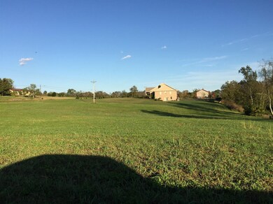 2350 Union Mill Rd, Nicholasville, KY 40356 - photo 4